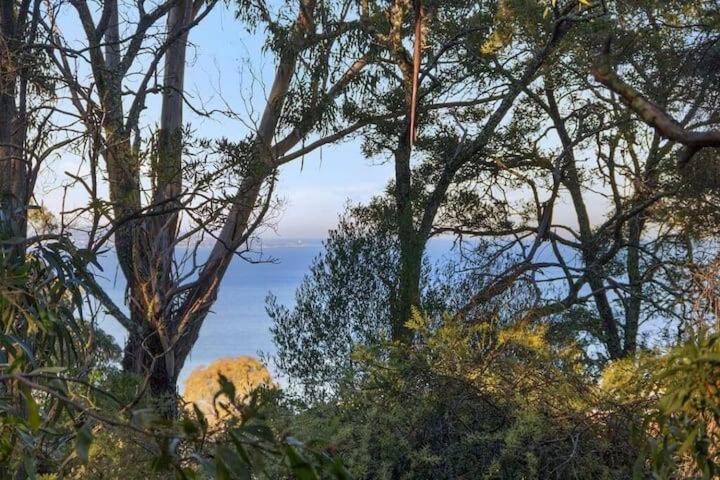 Treetops-large 9km To Cbd Sleeps 10 Hobart